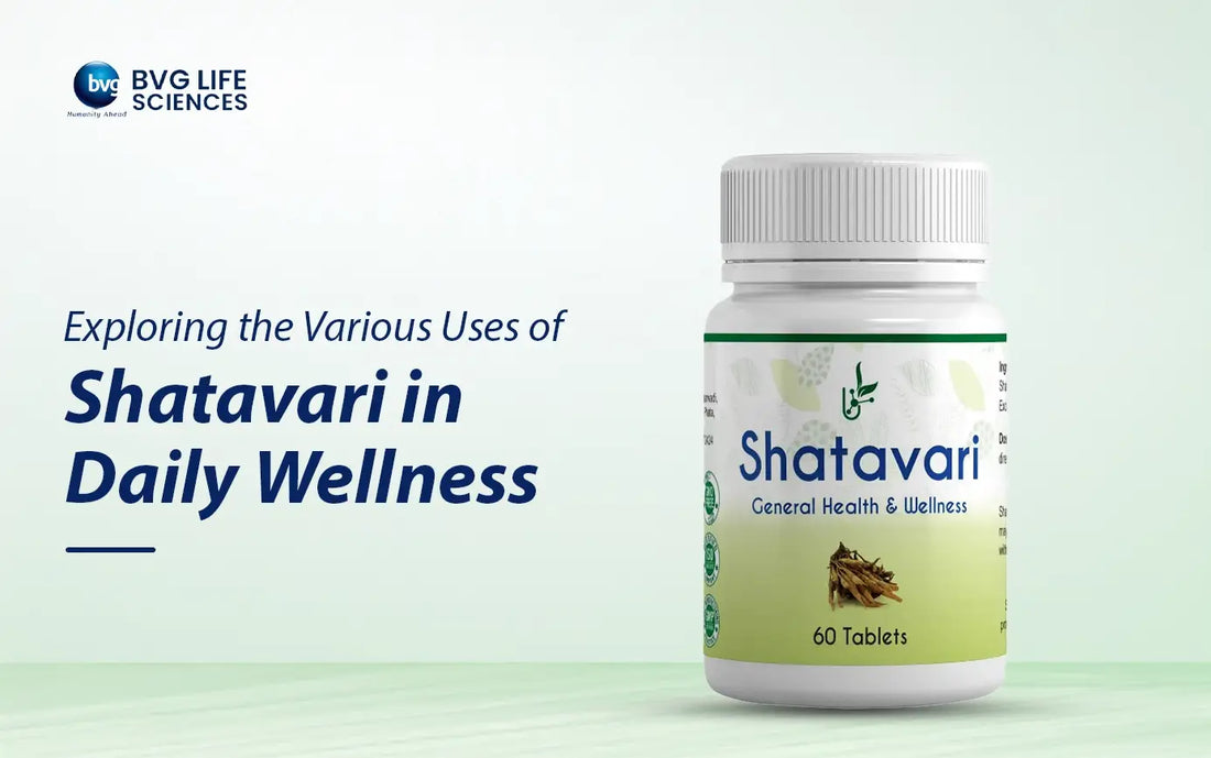 Exploring the Various Uses of Shatavari in Daily Wellness