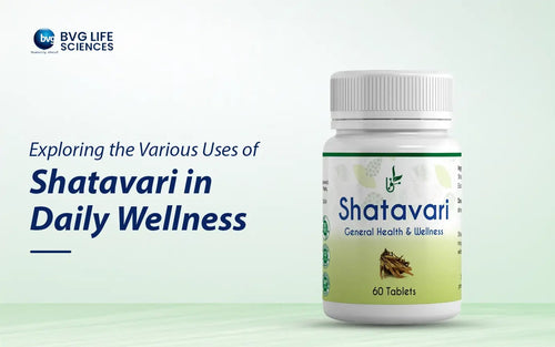Exploring the Various Uses of Shatavari in Daily Wellness