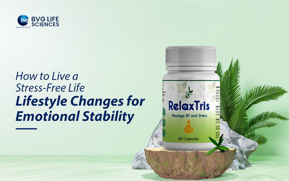 How to Live a Stress-Free Life: Lifestyle Changes for Emotional Stability