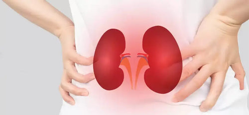 What is the Management of Chronic Kidney Disease?