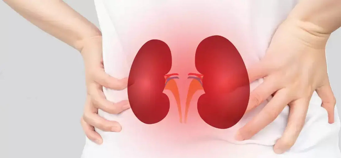 What is the Management of Chronic Kidney Disease?