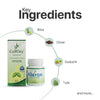 Winter Wellness Kit - image 2