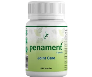 Penament Capsules - Joint Care