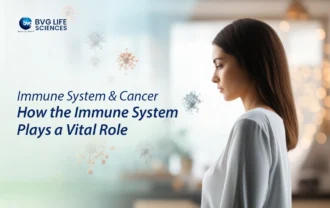 Immune System and Cancer