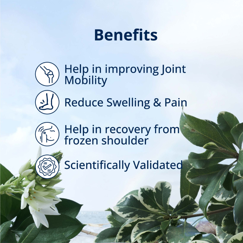 Benefits of Frozzrid Tablet