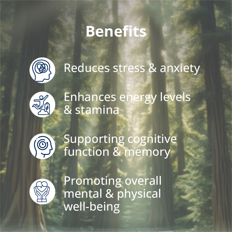 Benefits of Ashwagandha