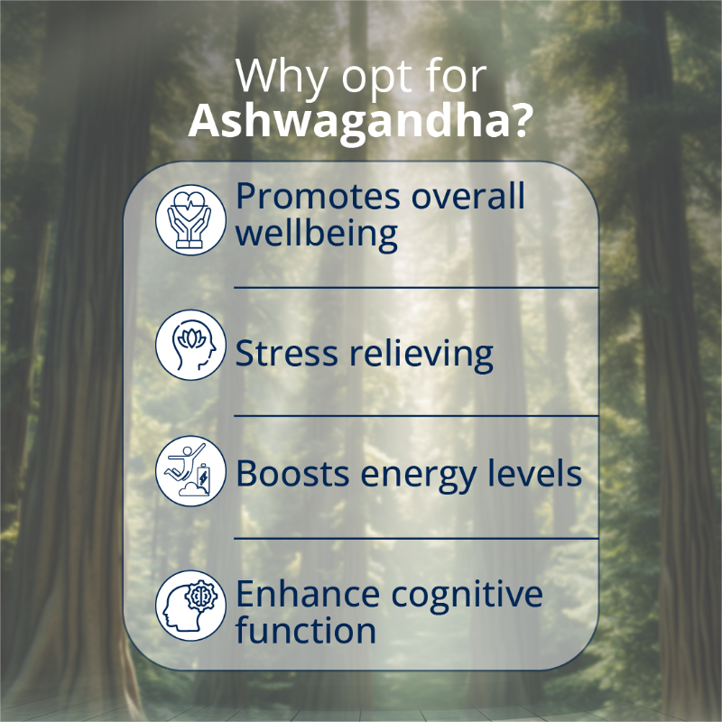 Reasons to opt for Ashwagandha