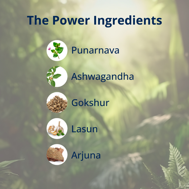 Ingredients of RelaxTris Capsule