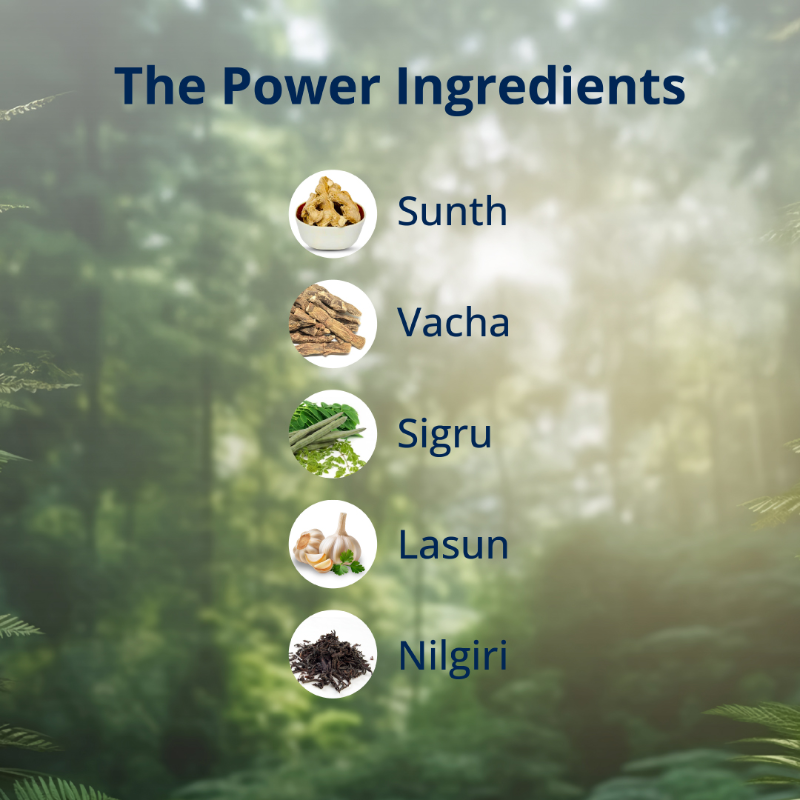 Ingredients of Penament oil